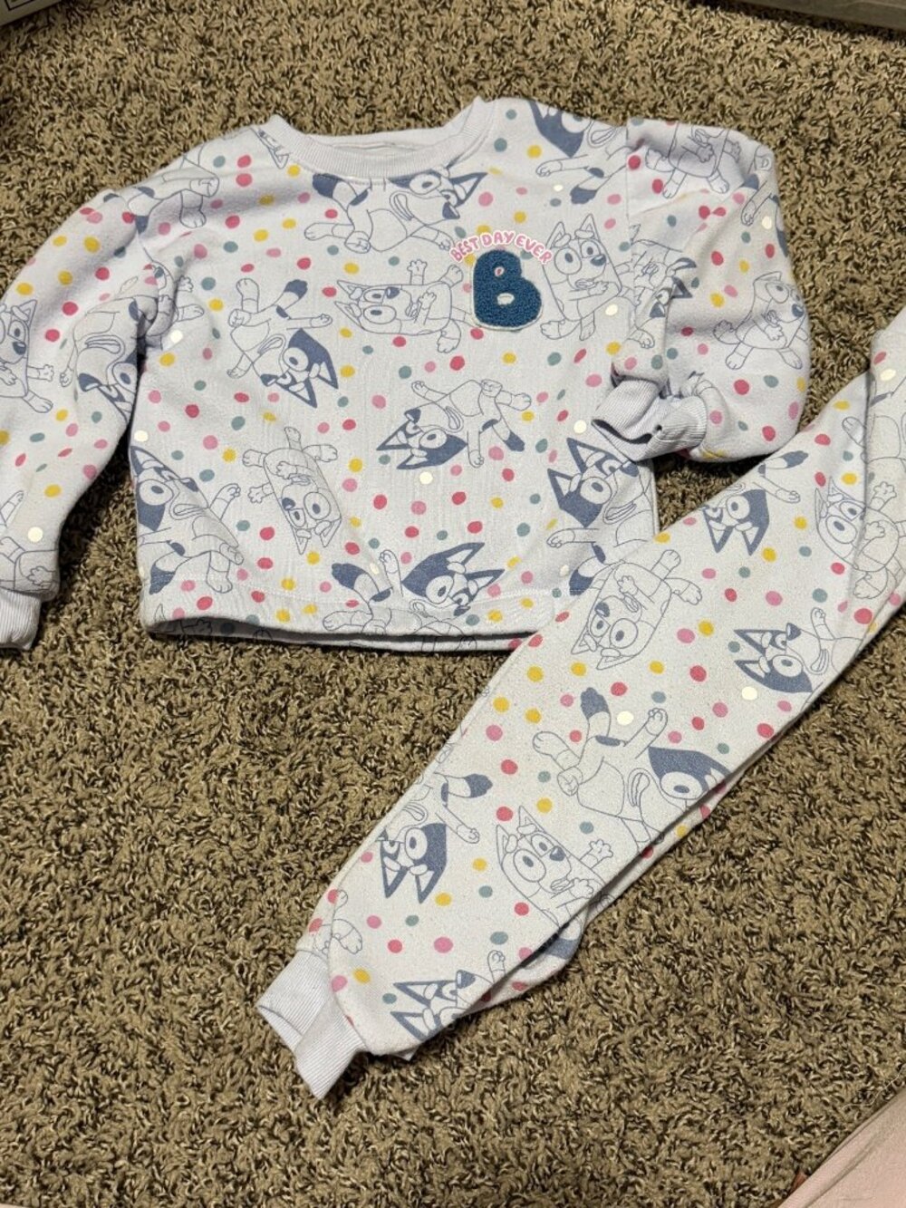 Bluey Purple Sweater and Pants set sz 4T